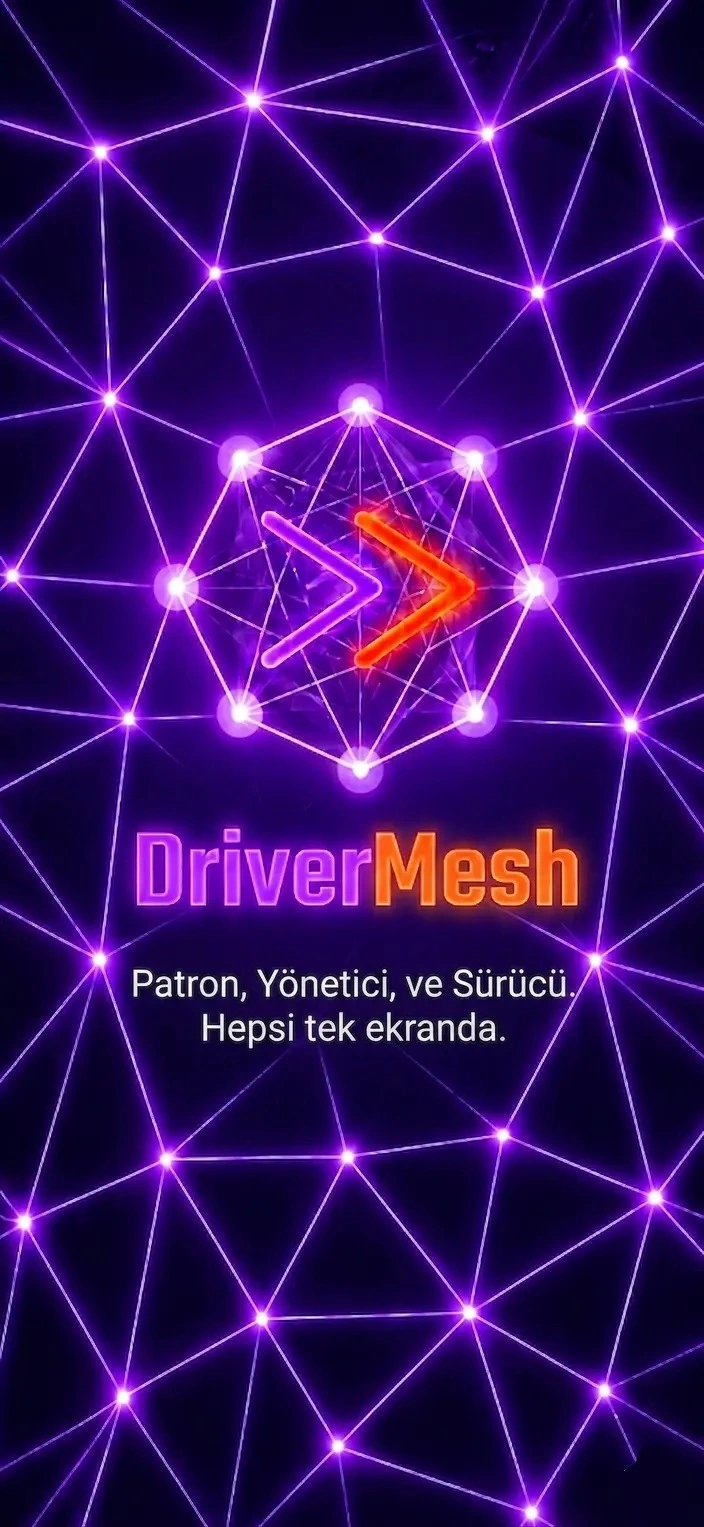 DriverMesh login screen